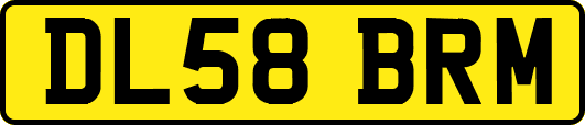 DL58BRM