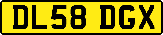 DL58DGX