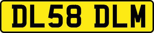 DL58DLM