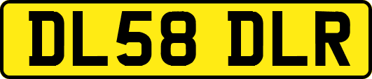 DL58DLR