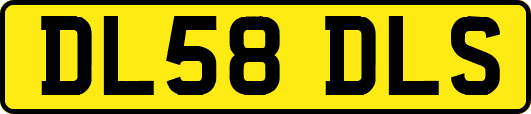 DL58DLS