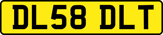 DL58DLT