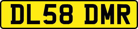 DL58DMR