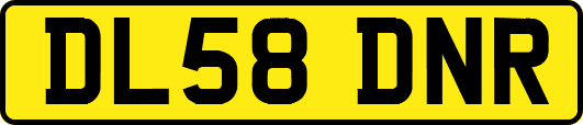 DL58DNR