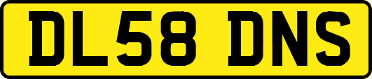 DL58DNS
