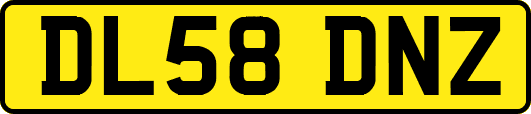 DL58DNZ