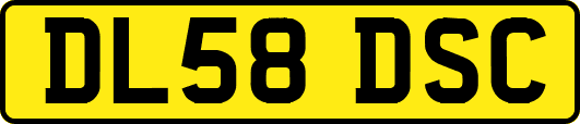 DL58DSC