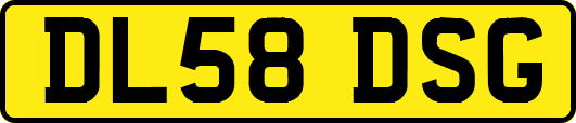 DL58DSG