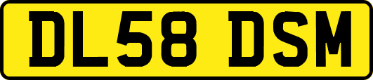 DL58DSM