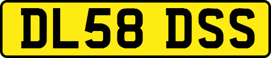 DL58DSS