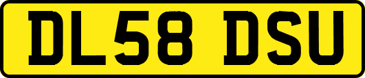 DL58DSU