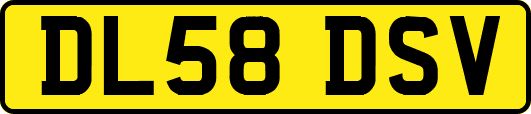 DL58DSV