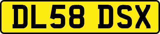 DL58DSX