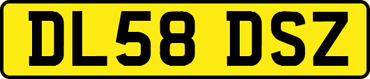 DL58DSZ