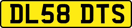 DL58DTS
