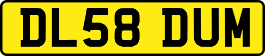 DL58DUM