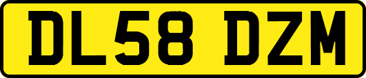 DL58DZM