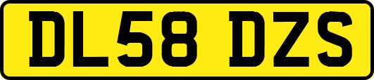 DL58DZS
