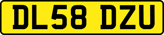 DL58DZU