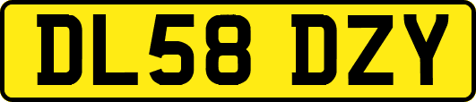 DL58DZY