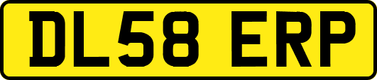DL58ERP