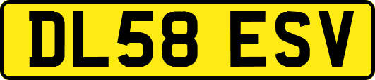 DL58ESV