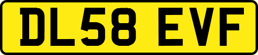 DL58EVF