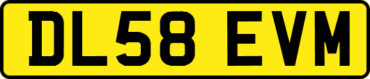 DL58EVM