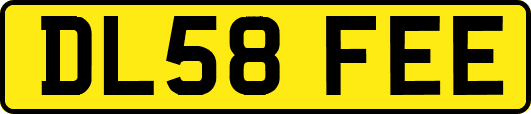DL58FEE