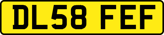 DL58FEF