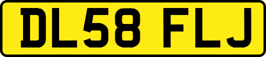 DL58FLJ