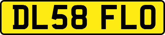 DL58FLO