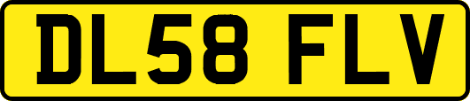 DL58FLV