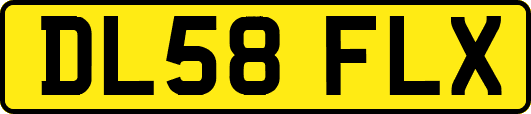 DL58FLX