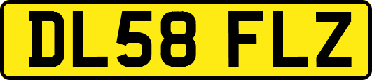 DL58FLZ