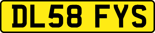 DL58FYS