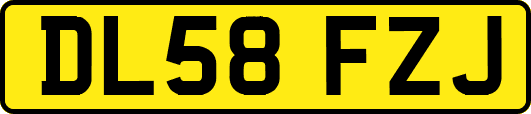 DL58FZJ