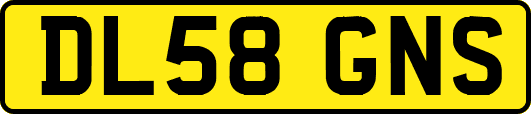 DL58GNS