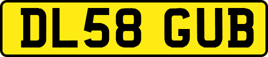 DL58GUB