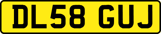 DL58GUJ