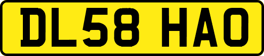 DL58HAO
