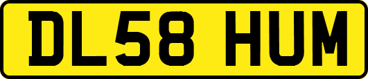 DL58HUM