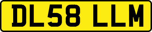 DL58LLM