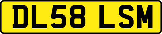 DL58LSM