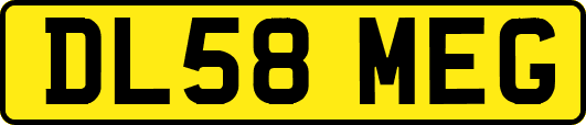 DL58MEG
