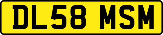 DL58MSM