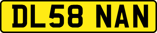 DL58NAN