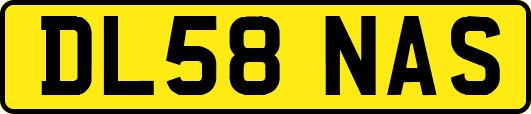 DL58NAS