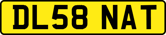 DL58NAT