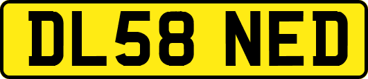 DL58NED